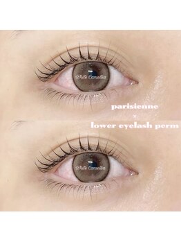 ホワイトカメリア 難波心斎橋店(WhiteCamellia)/パリジェンヌ/マツエクサロン