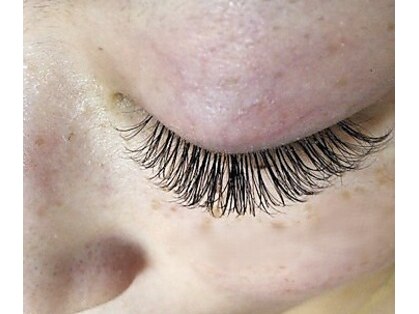 グランプリLashの写真