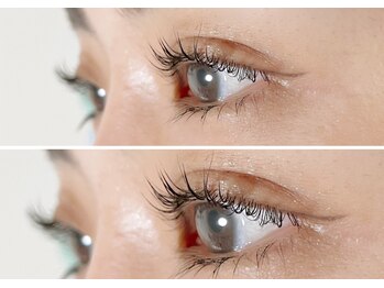 エムエスエー エクラ(MSA Eclat)