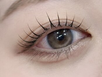 ライラ(LAYLA)/まつげパーマ