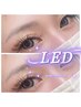 【リピーター様】LEDフラットラッシュ つけ放題