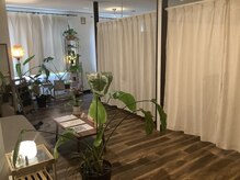 ビエンビエン(bien bien)の雰囲気（観葉植物に囲まれて癒し効果アップ。）