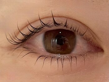 カラン 焼津店(CALIN)/上下シンプリフィ