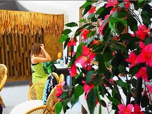 晴笑美(ハルエミ)/ドレッサー