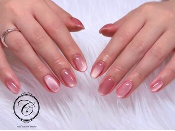 セリシール(Cericier)/【パラジェル】マグネットネイル