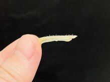 カノネ(Cannone')/艶肌 / wax脱毛 / マツヤニwax