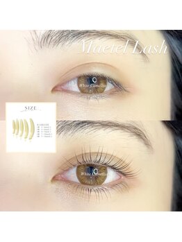 ホワイトカメリア 難波心斎橋店(WhiteCamellia)/メーテルラッシュ