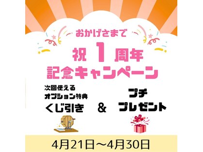 ラクダ(Rakuda)の写真