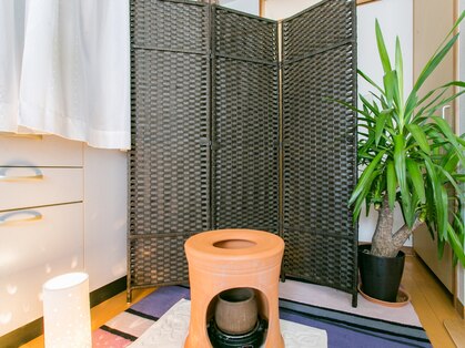 エキナセアの写真