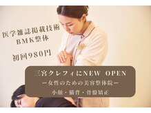 シカ(CICA)