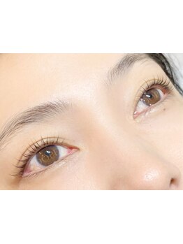 初めての方にオススメ