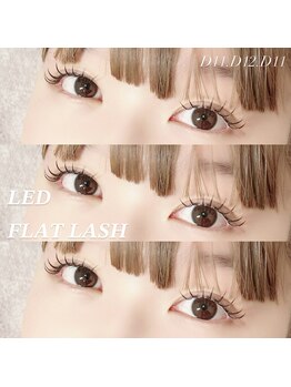 シエル(Ciel)/LED◆フラットラッシュ120本