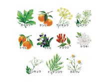 ヨサパーク オリオリ 武蔵小金井店(YOSA PARK Oli’ oli)の雰囲気（11種のハーブに包まれて体を芯から温め代謝UP！スリムへの近道★）