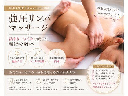 美々(ビビ)の写真
