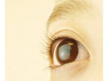 ロイヤルアイラッシュ(ROYAL eyelash)/まつげカール　施術後