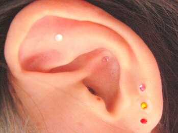 エルミタージュ/耳のつぼにピアス♪