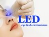 【高持続LEDマツエク100本】セーブル¥6050/フラットラッシュ¥6600