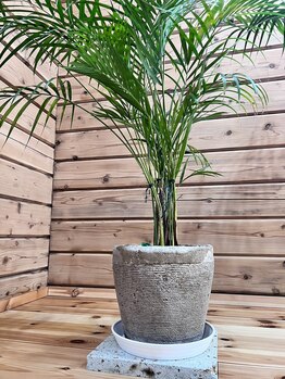 プルベル 宇都宮店(Plus Belle)/小顔矯正/たるみ改善/しわ改善