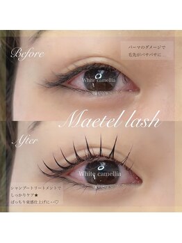 ホワイトカメリア 梅田茶屋町店(White Camellia)/まつ毛パーマ/マツエクサロン