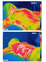 美人バスト 岡山店/サーモグラフィでも科学的に証明