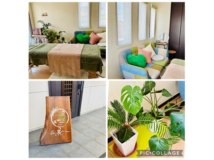 サロン ビールーム(salon 美-room)の写真