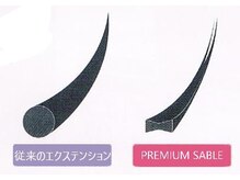 サロン ド ミニョン(Salon de Mignon)/フラットプレミアムセーブル