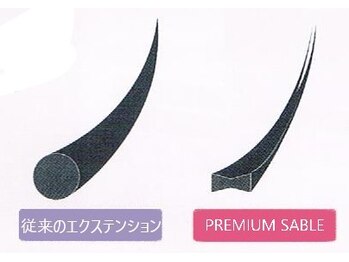 サロン ド ミニョン(Salon de Mignon)/フラットプレミアムセーブル