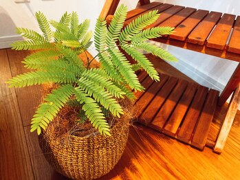 ピークハント(Peak Hunt)/Green