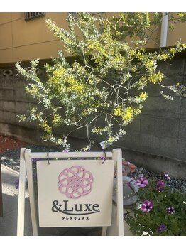 アンド リュクス(& Luxe)/ミモザ～
