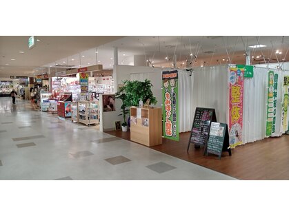 ラファエルの写真