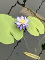 アネラ 西陣本店(anela) 季節ごとにお花がきれい