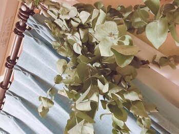 ハミングバード/ユーカリのスタッグ