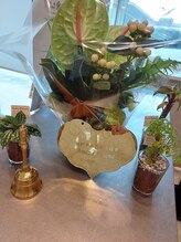 アマナプラーナ(Amana Praana)/