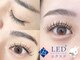 バニーラッシュ 津田沼店(Bunny Lash)の写真/【待望のLEDエクステが登場!】大人層からも人気の仕上がり♪まつげパーマもマツエクも高持続が人気の秘訣♪