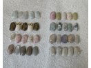 ～7.8月定額コース～