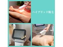 メリッサ(Melissa)