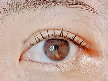 リリー(Lily)/まつげパーマ