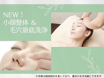 サレーヌ フェイシャルサロン 用賀店/下半顔エステ【3毛穴洗浄】