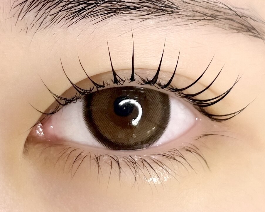 【新規限定】まつげパーマ/バービーラッシュリフト￥3980