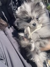 レジット 青物横丁(LEGIT) OMI