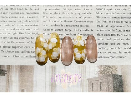 アネモネ(ANEMONE)の写真