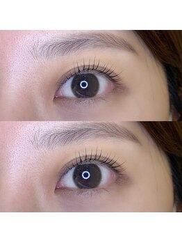 ヒルズ 原宿(Hills Harajuku)/トリートメントラッシュリフト