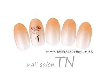 ティーエヌ TSUTAYA八戸ニュータウン店/4月☆定額3900円コース