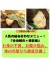 2回目以降の方　★好評★【全身鍼灸施術＋美容鍼】セット80分11,000