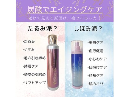 プリマステラ(prima stella)の写真