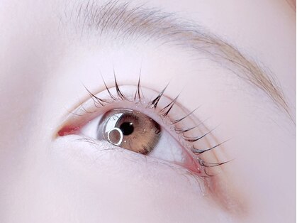 シャッセ(SASE)の写真