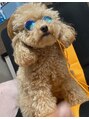 アトリエ イミュア(atelier immyua) 子供が早く巣立ったので、愛犬まっちゃが心の癒しです★(笑)