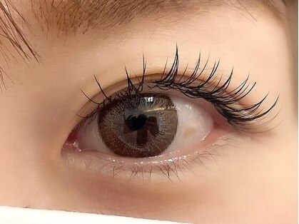 ラシェスキタモト (luscius kitamoto)の写真