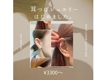 耳ツボジュエリー☆