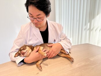 撫の樹/とろけるマッサージをどうぞ♪